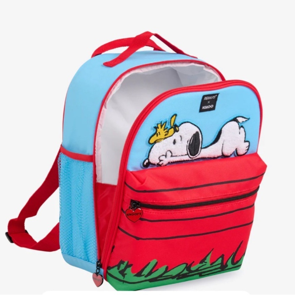 Peanuts Snoopy Insulated Backpack Igloo Mini Conv… - image 10